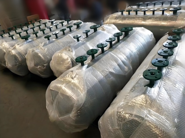 1729480271871953.jpeg